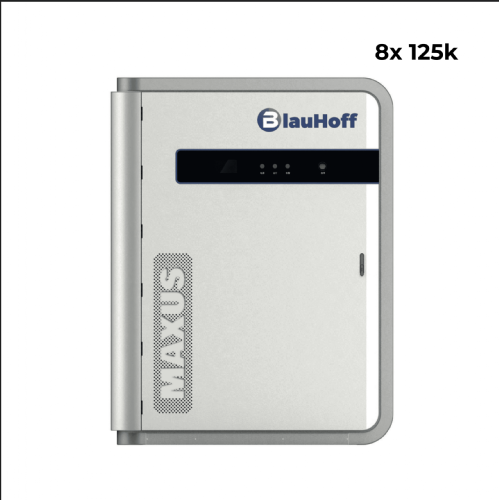 Blauhoff Maxus All in One 1000K/2064kWh Energy Storage Cabinet Liquid cooled