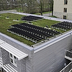 Eerste Nederlandse Groendak met Verticale Zonnepanelen